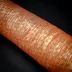 Membrane poliamidice pentru mezeluri
